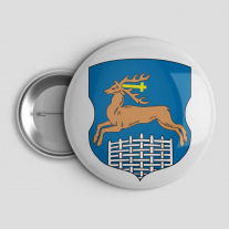 Значок Герб города Гродно